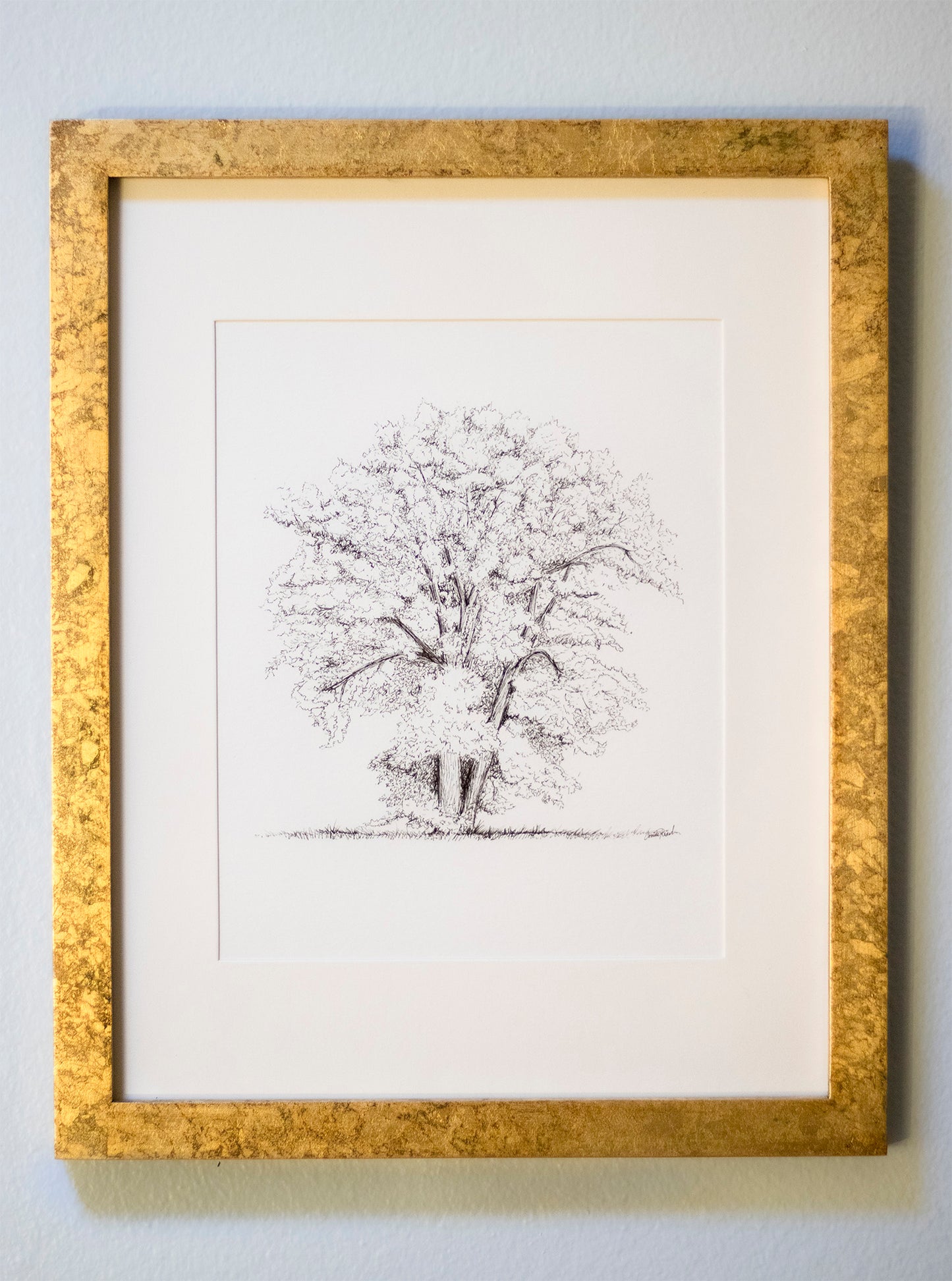 Tree Study